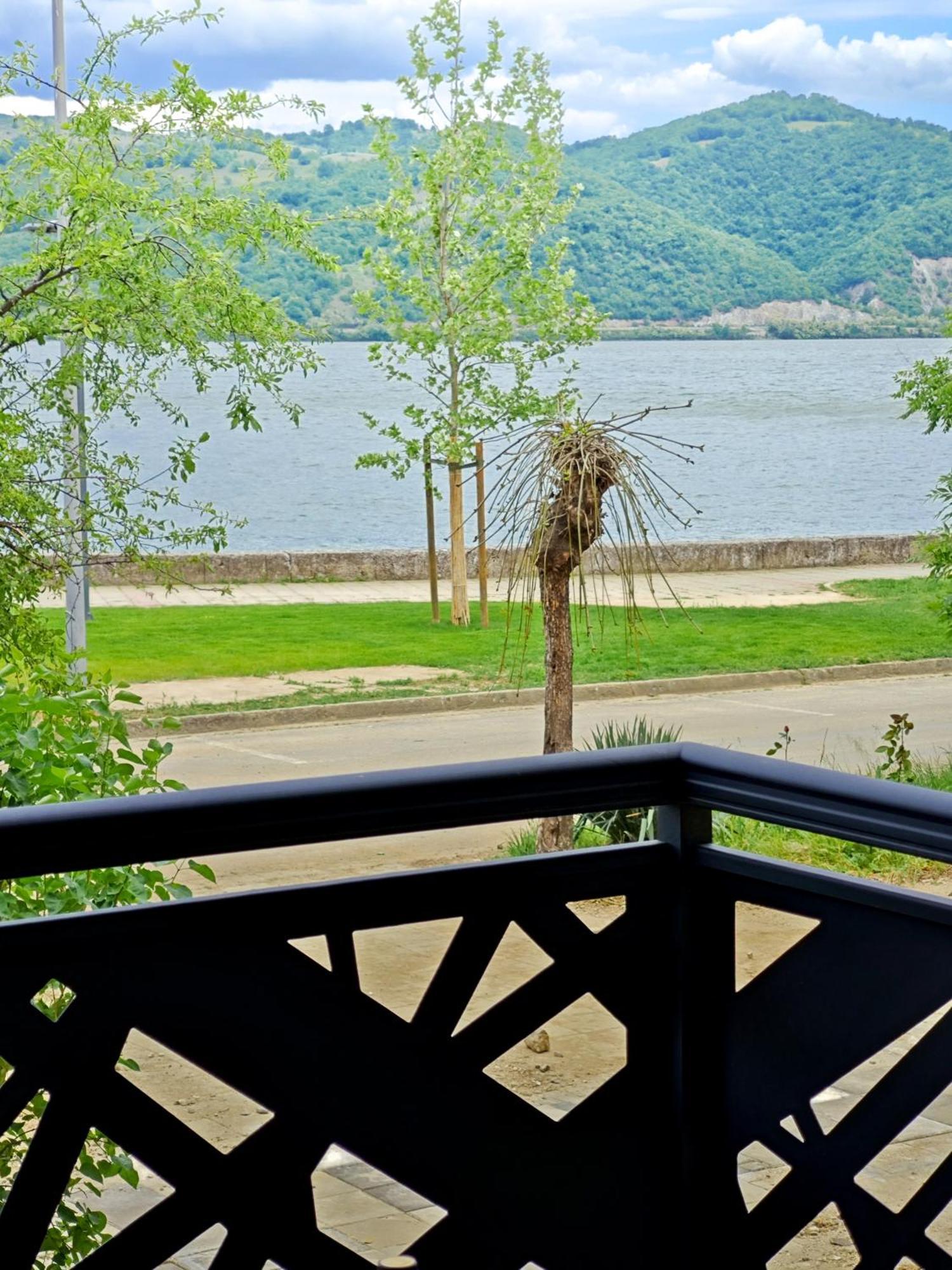 Apartman Julija Donji Milanovac Exterior foto